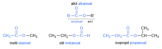 ester alkil alkanoat