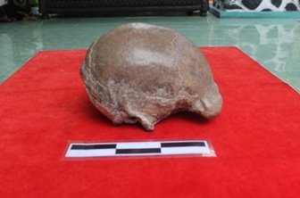 banyak ditemukan peralatan kehidupan manusia purba yang terbuat dari batu dan tulang yang ditemukan di wilayah situs