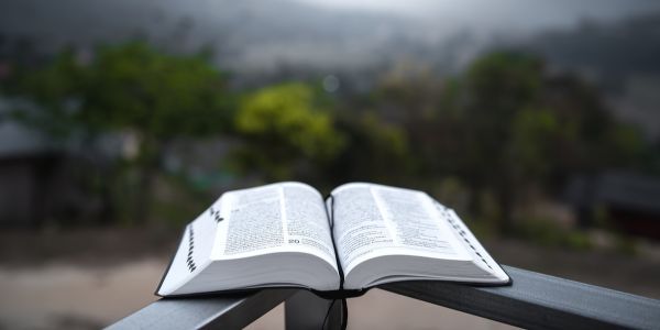 kalimat pasif adalah